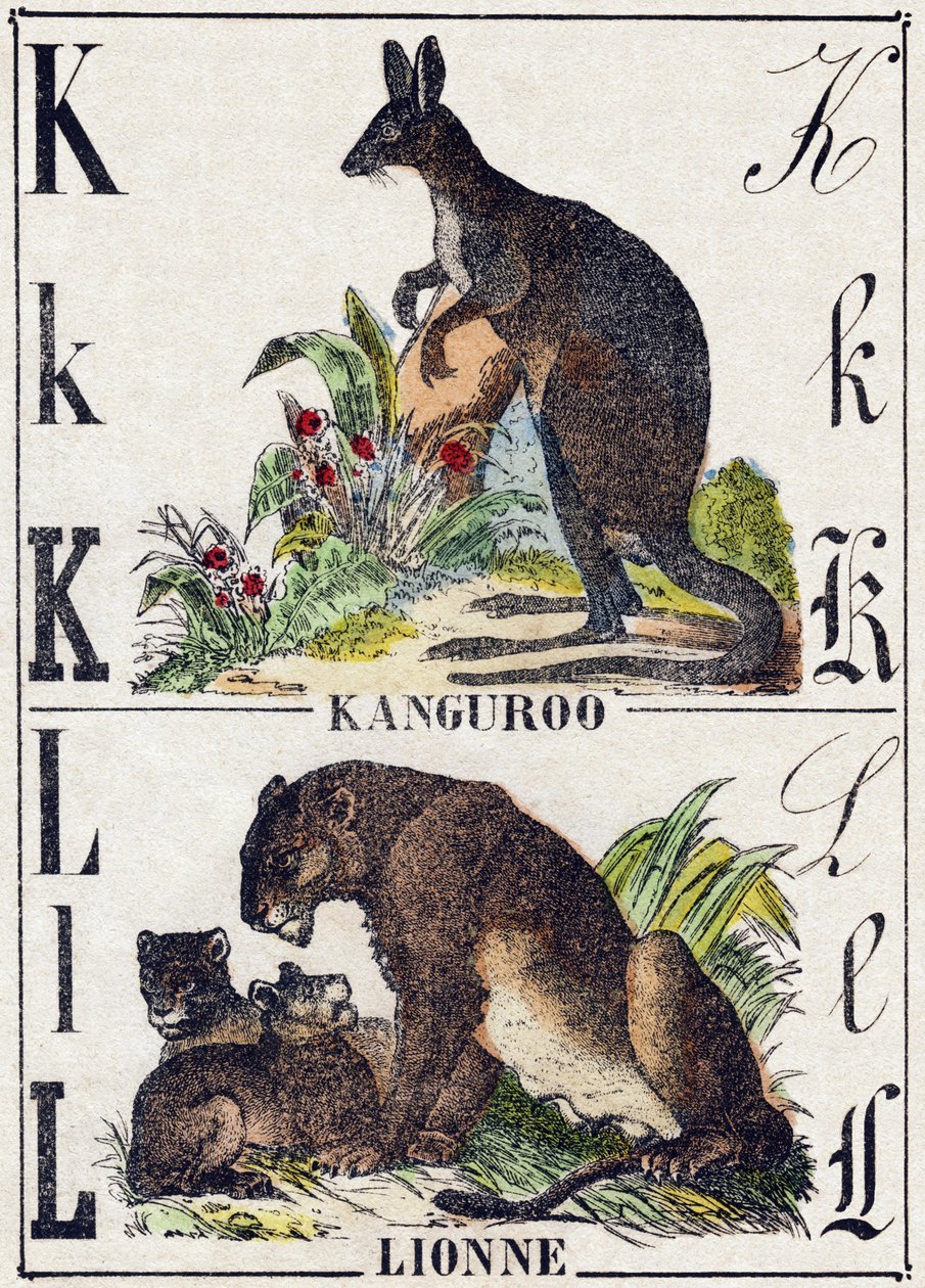 K L harfi; K Kanguroo; Dişi aslan. “Vahşi Hayvanlar Alfabesinde” gravür. 9. Seri. Epinal