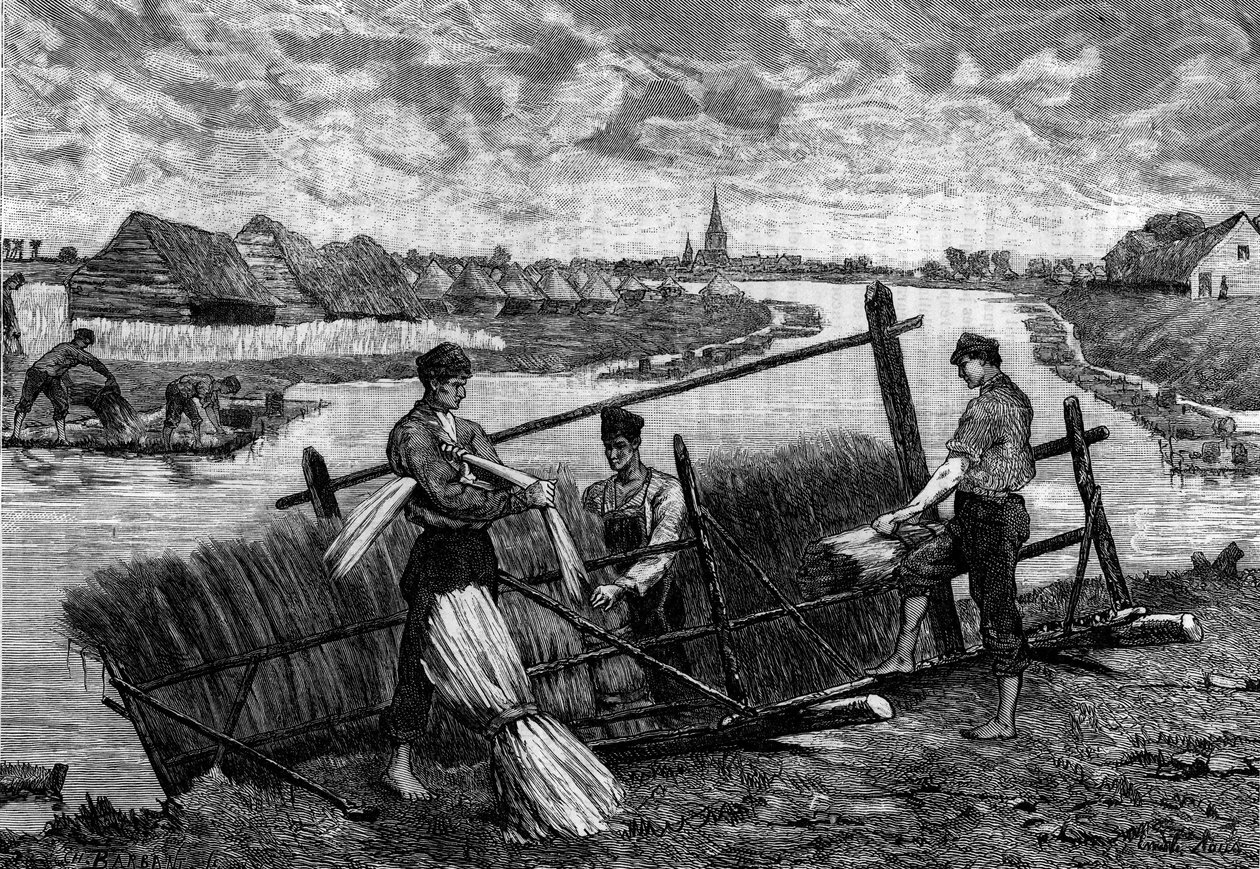 Keten: Riviere Lys