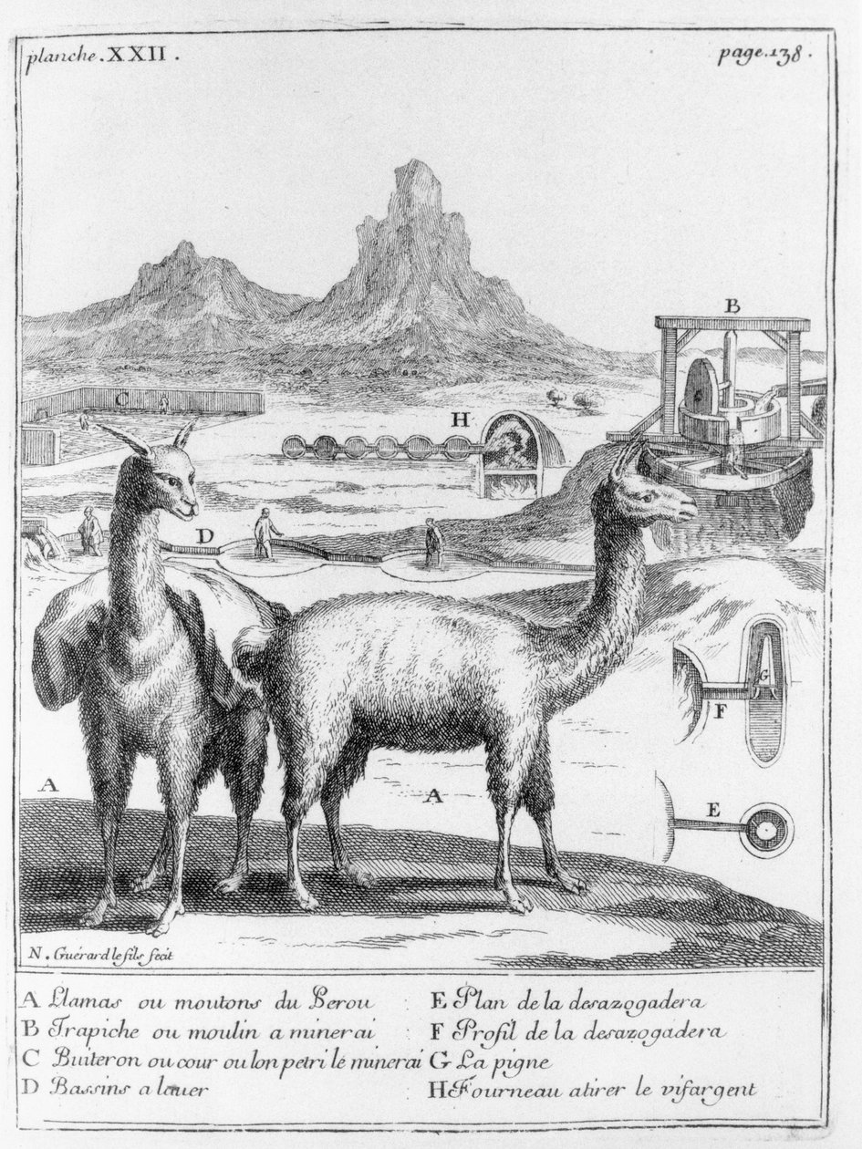 Relation du voyage de la mer du sud aux cotes du Chily et du Perou, A.F. Frezier, 1716