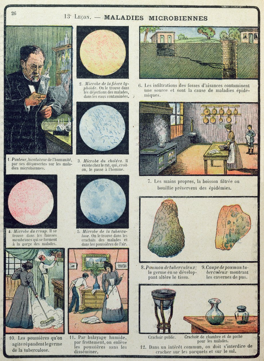 Louis Pasteur (1822-95) ve bakteri hastalıkları, Les Sciences Physiques et Naturelles, Paris, 1908