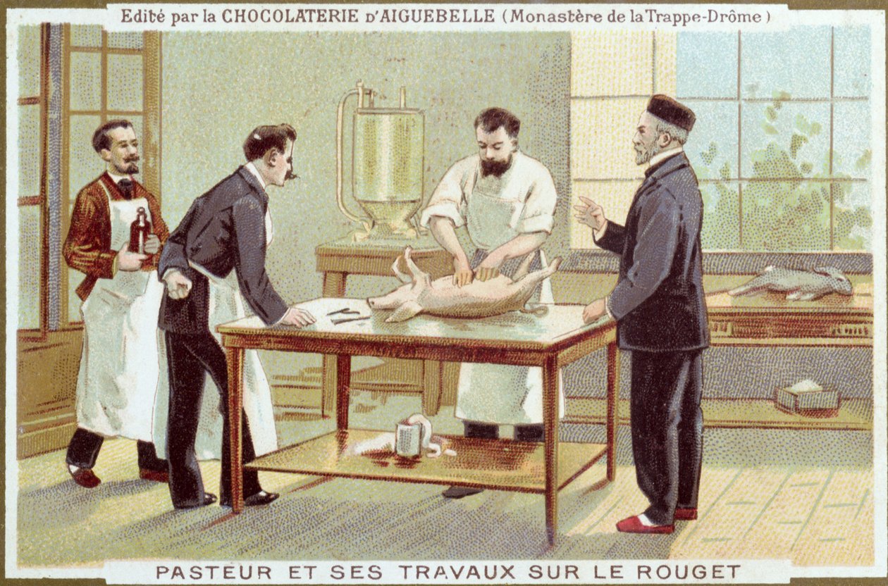 Louis Pasteur (1822-95) kızamık araştırması üzerinde çalışıyor, Chocolaterie dAiguebelle için reklam kartı by French School