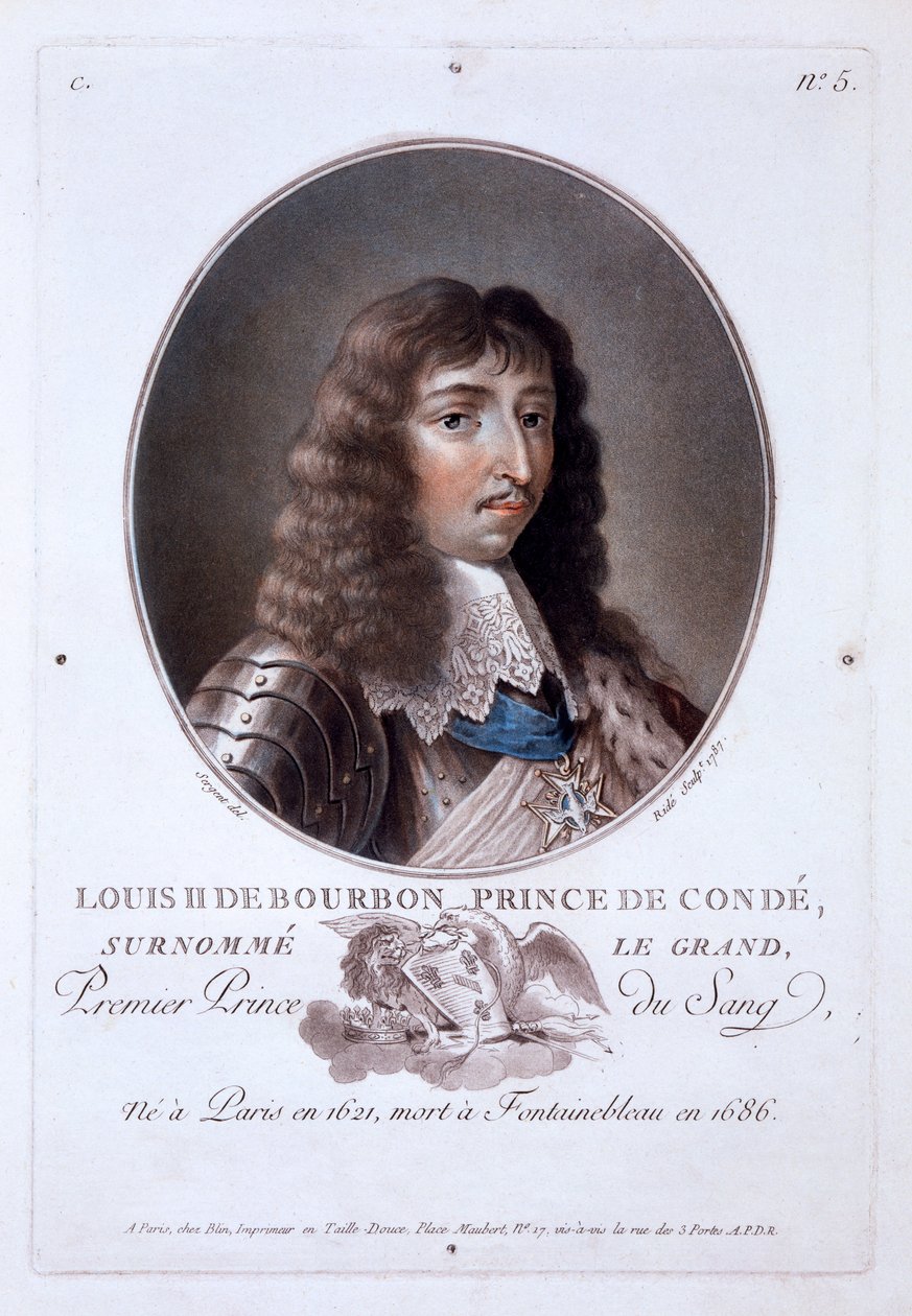 Louis de Bourbon, Prince de Condé, Fransa