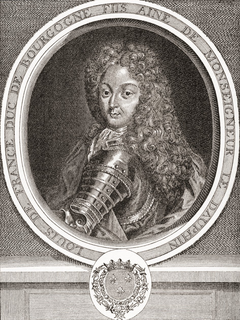 Louis de France, Fransa