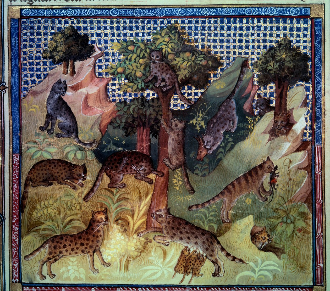 Dağlarda Lynx vahşi kedileri. Gaston III Phoebus, Foix Kontu, Bearn Lordu (1331-1391) tarafından yazılan “Avlanma kitabından” minyatür by French School