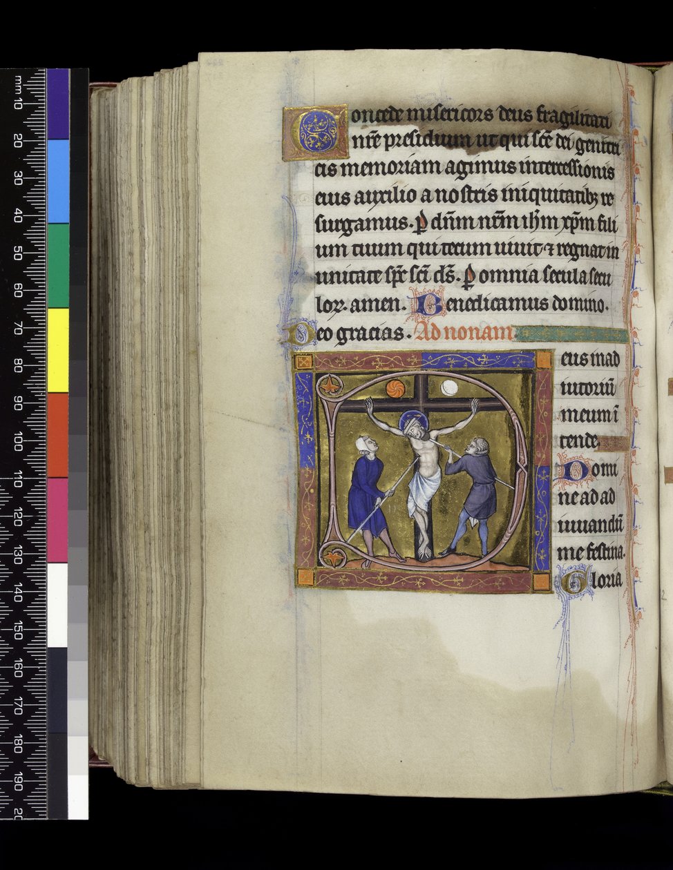 MS 300 f.217v, Crucifixion, from the Psalter and Hours of France of France, Paris, c.1265-70 (parşömen üzerine kalem ve mürekkep ve tempera) by French School