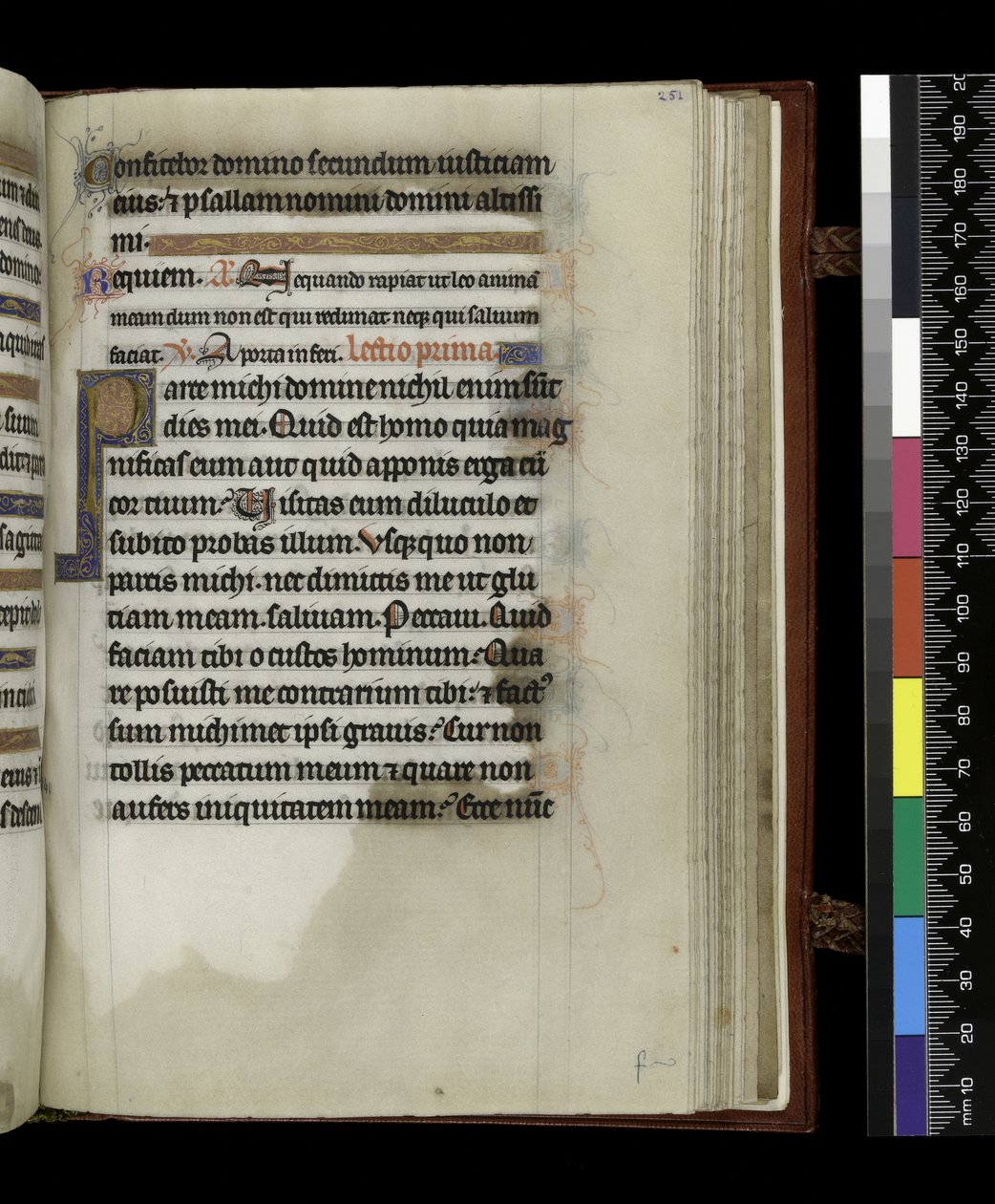 MS 300 f.251r, Psalter and Hours of Isabella of France, Paris, c.1265-70 (parşömen üzerine kalem ve mürekkep ve tempera) by French School