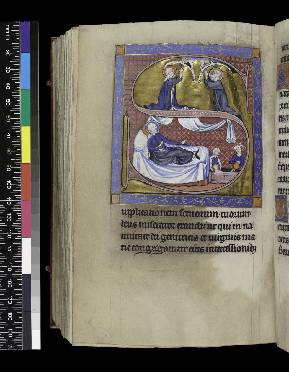 MS 300 f.271v, Meryem