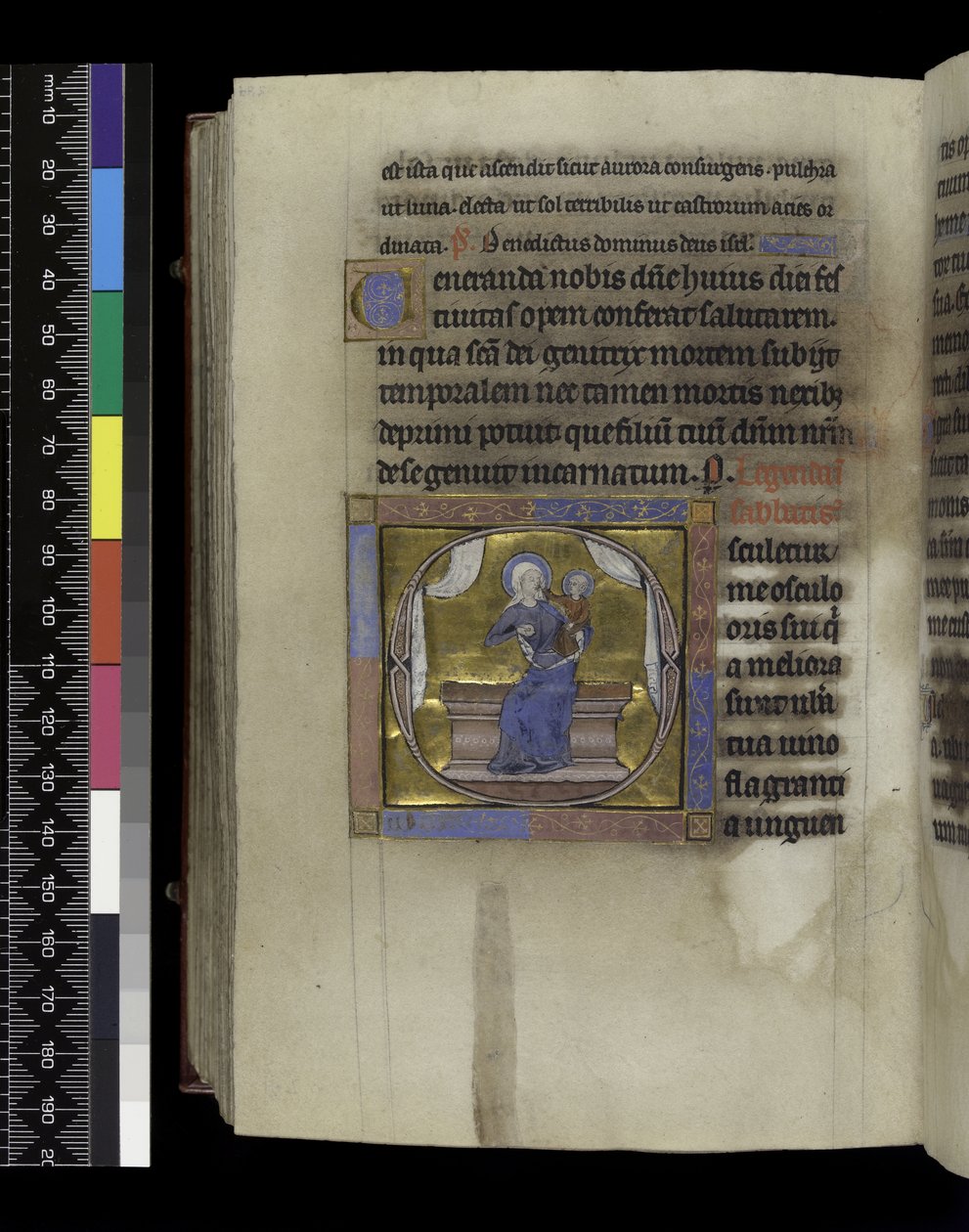 MS 300 f.284v, Song of Songs from the Psalter and Hours of Isabella of France, Paris, c.1265-70 (parşömen üzerine kalem ve mürekkep ve tempera) by French School