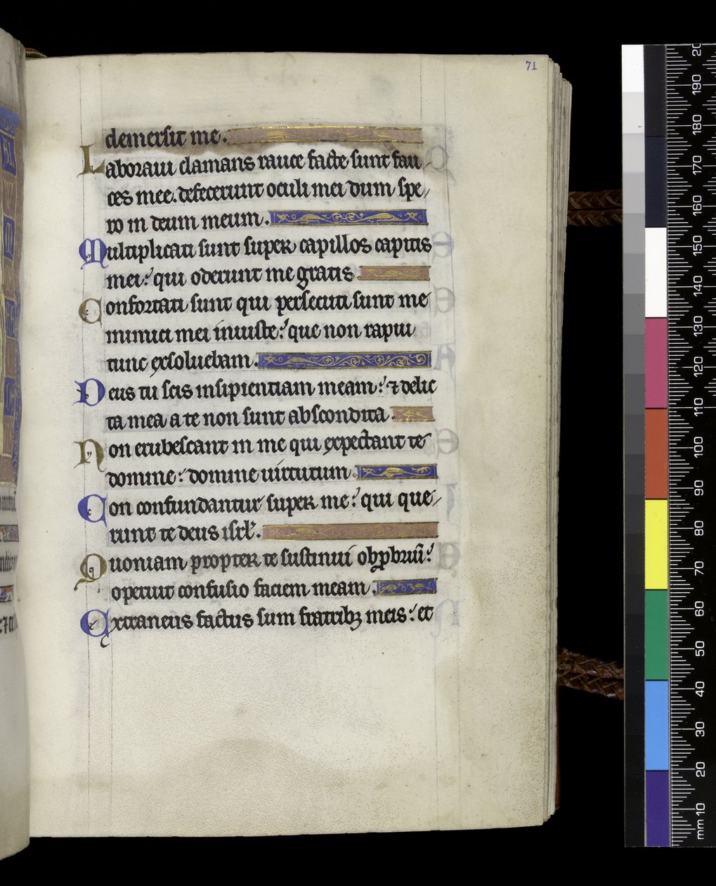 MS 300 f.71r, Psalter and Hours of Isabella of France, Paris, c.1265-70 (parşömen üzerine kalem ve mürekkep ve tempera) by French School