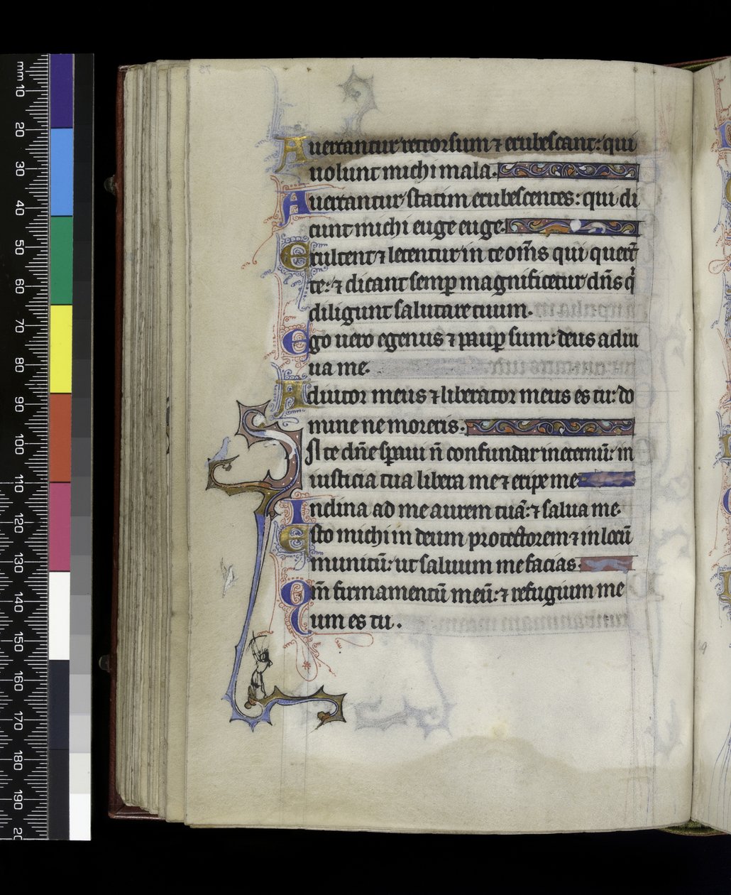 MS 300 f.73v, Psalter and Hours of France of France, Paris, c.1265-70 by French School