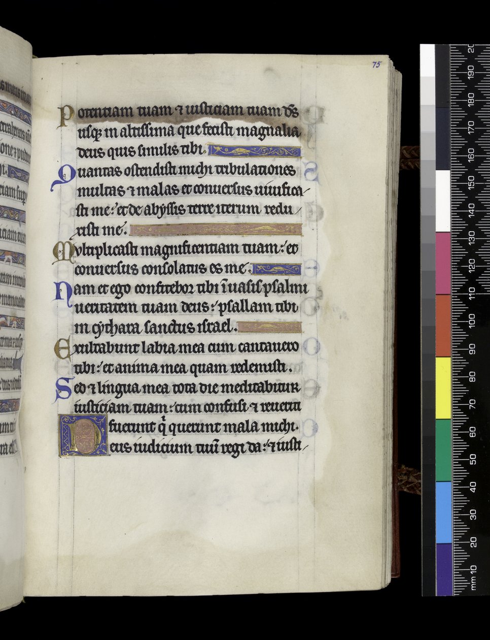 MS 300 f.75r, Psalter and Hours of Isabella of France, Paris, c.1265-70 (parşömen üzerine kalem ve mürekkep ve tempera) by French School