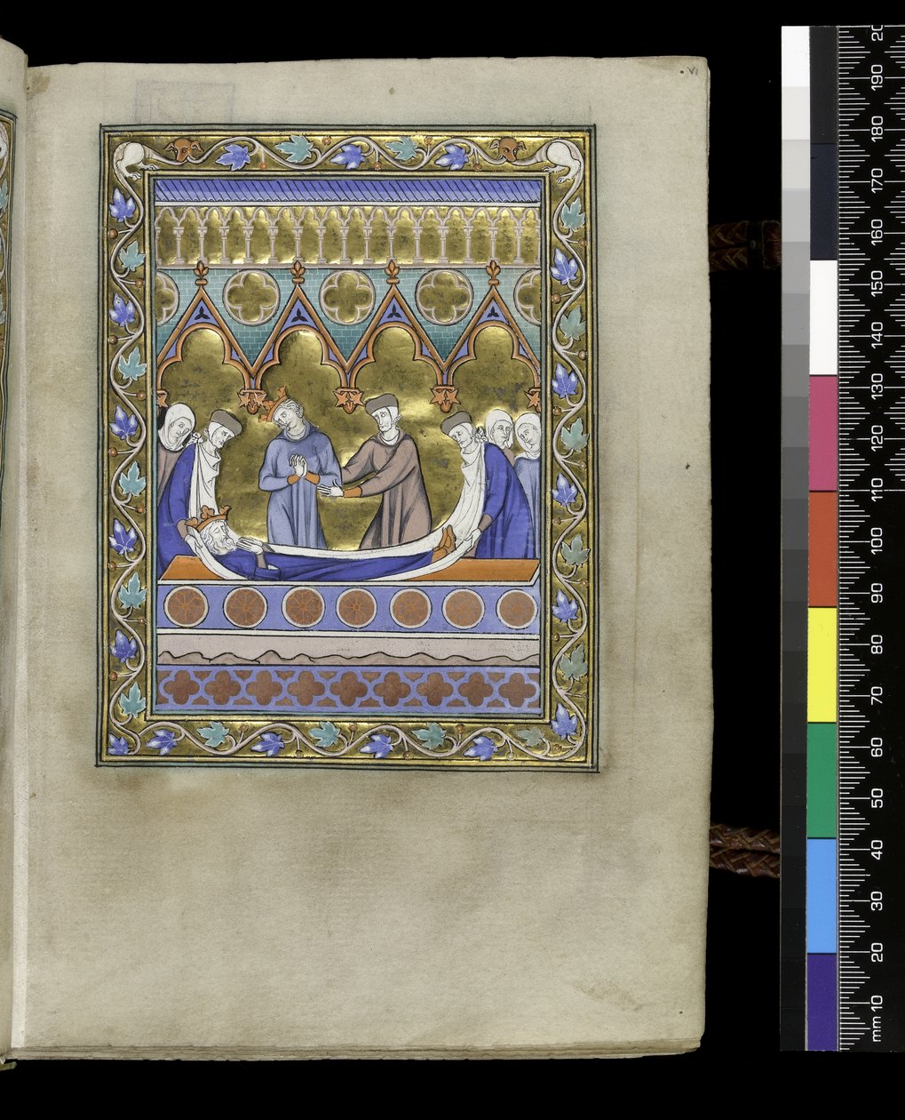 MS 300 f.VIr, David