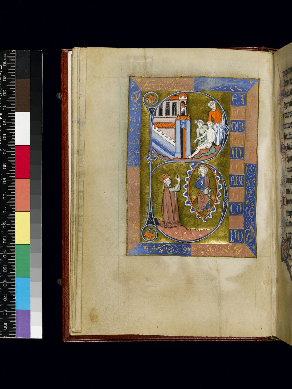 MS 300 f.XIII, Psalter and Hours of Isabella of France, Paris, c.1265-70 (parşömen üzerine kalem ve mürekkep ve tempera) by French School