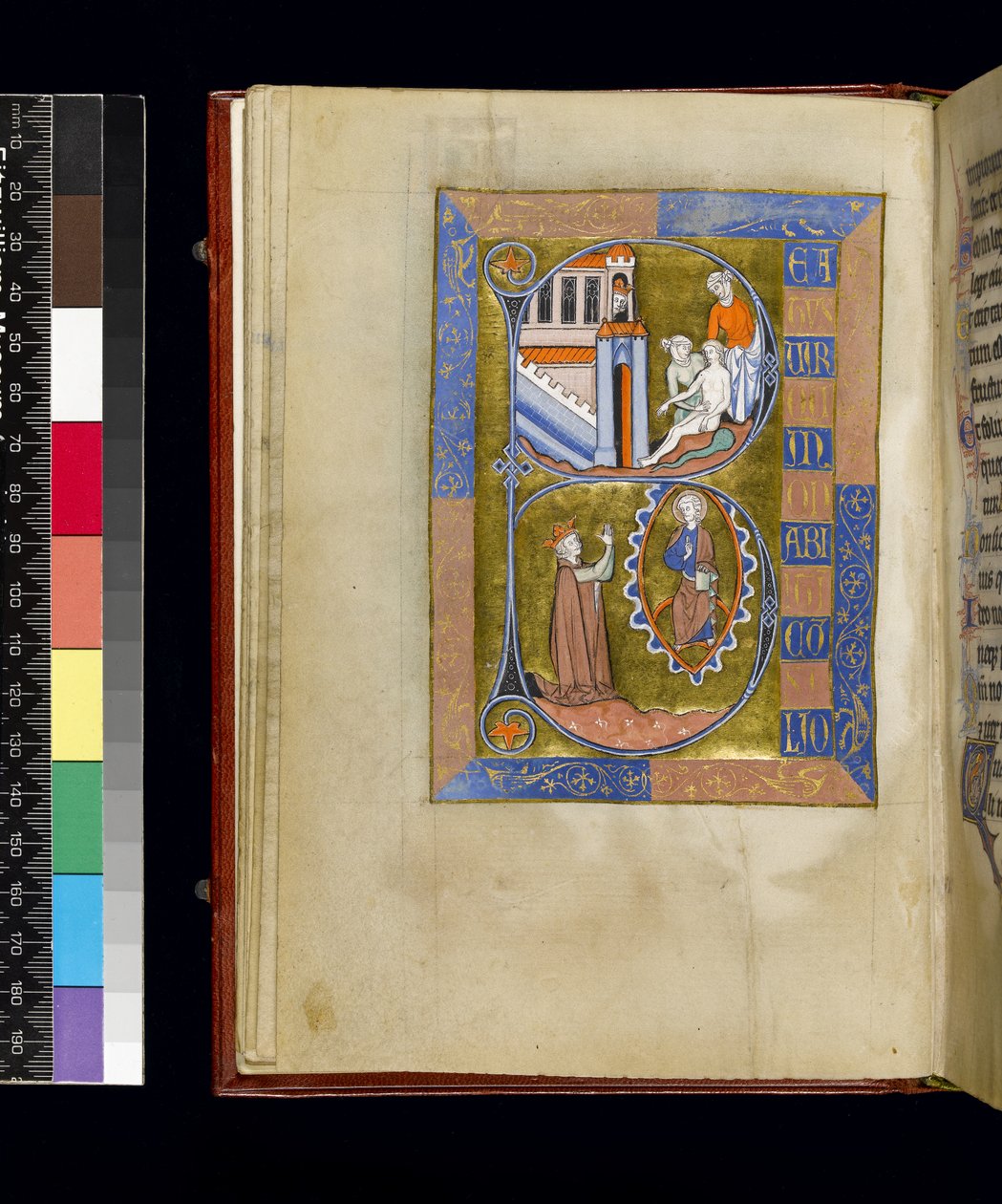 MS 300 f.XIII, Psalter and Hours of Isabella of France, Paris, c.1265-70 (parşömen üzerine kalem ve mürekkep ve tempera) by French School