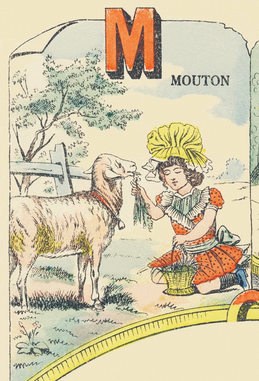 M: koyun by French School