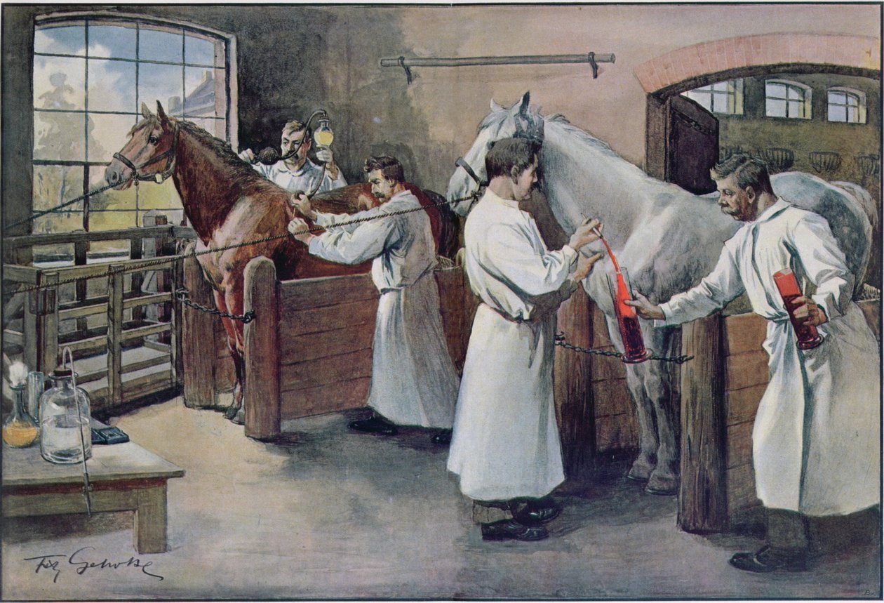 At kanından difteri serumu yapma, Les Animaux, c.1900 by French School