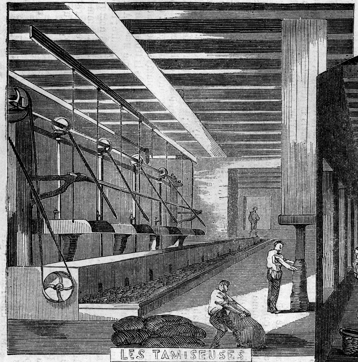 Tütün Fabrikası, Paris by French School
