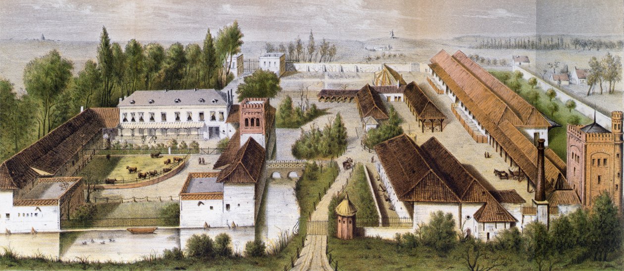 J.A.Barral, Paris tarafından 