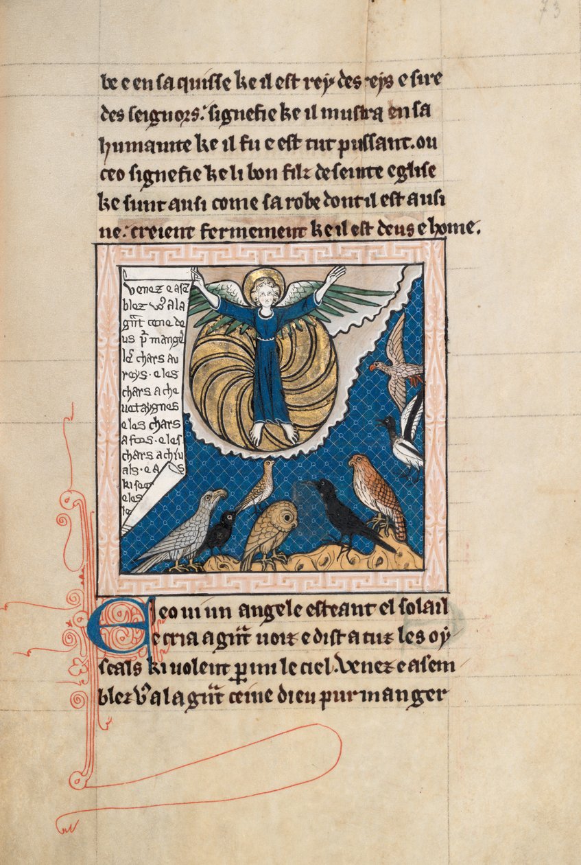 Ms65 f73r, St John