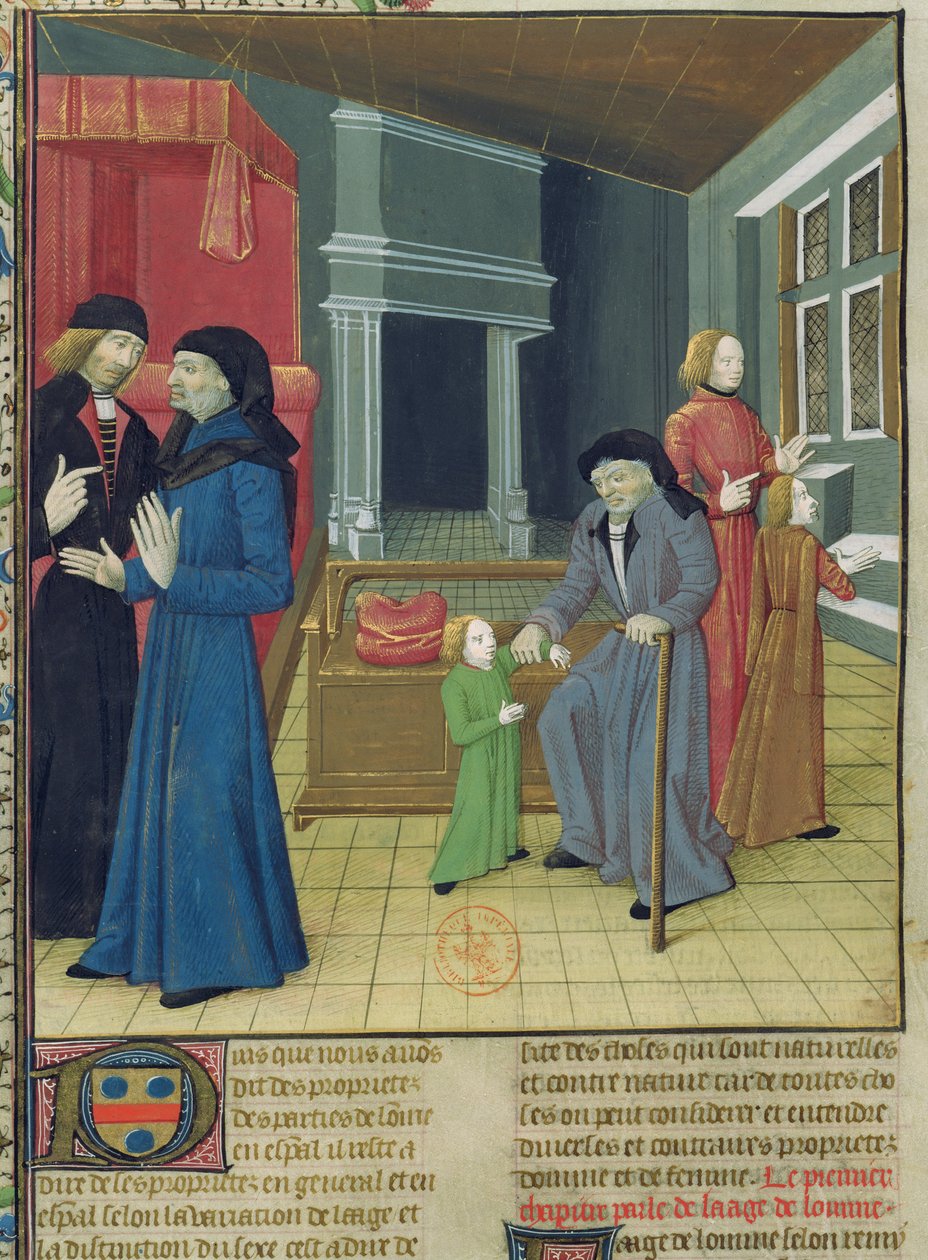 Ms.Fr.9140 fol.102v. Le Livre des Proprietes des Choses