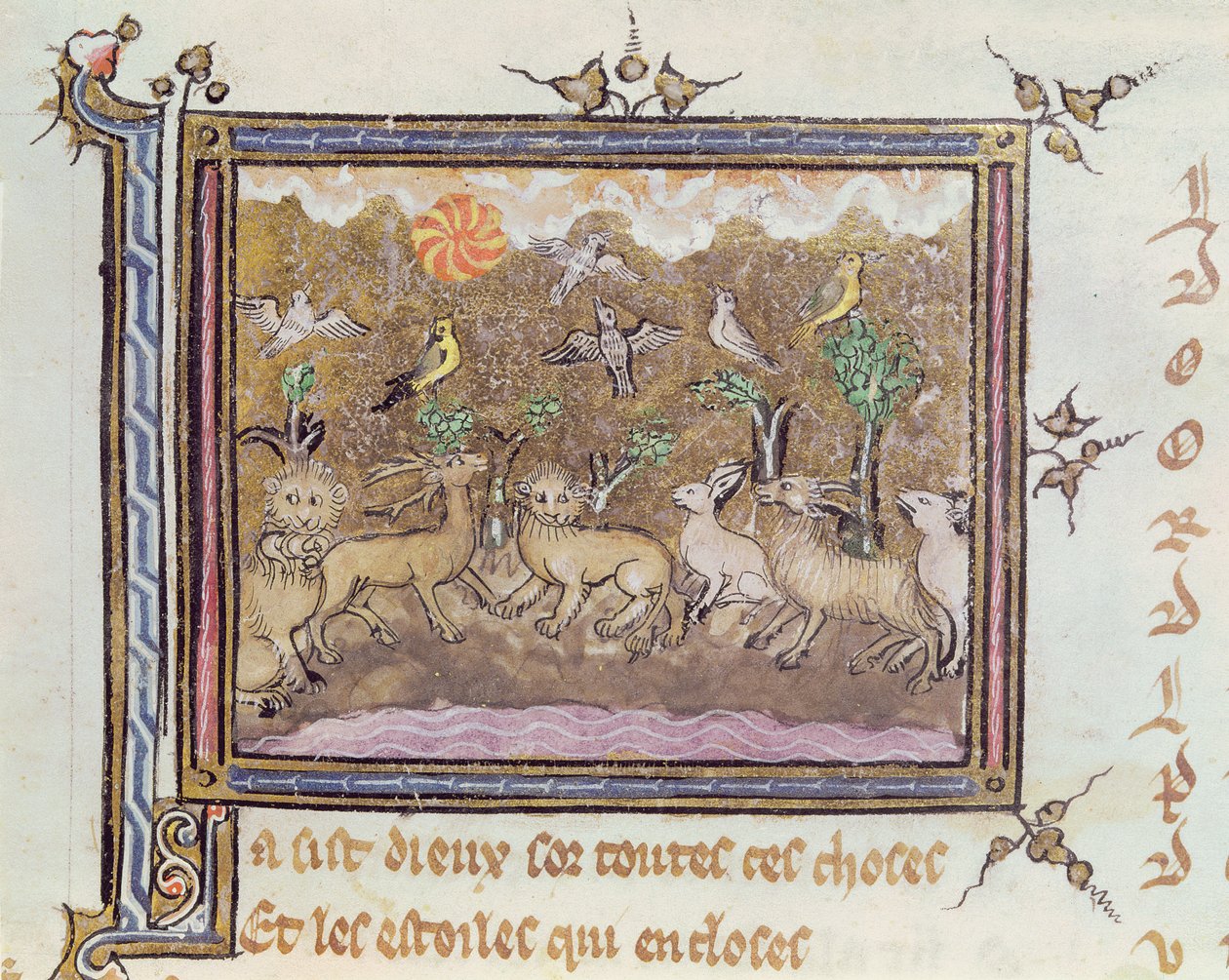 Ms 1044 fol.18 Hayvanların Yaratılışı, Chretien Legouais tarafından yazılan Ovide Moralise