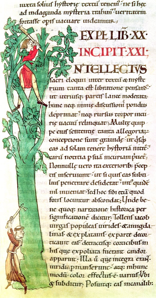 Ms 173 f.41 Moralia