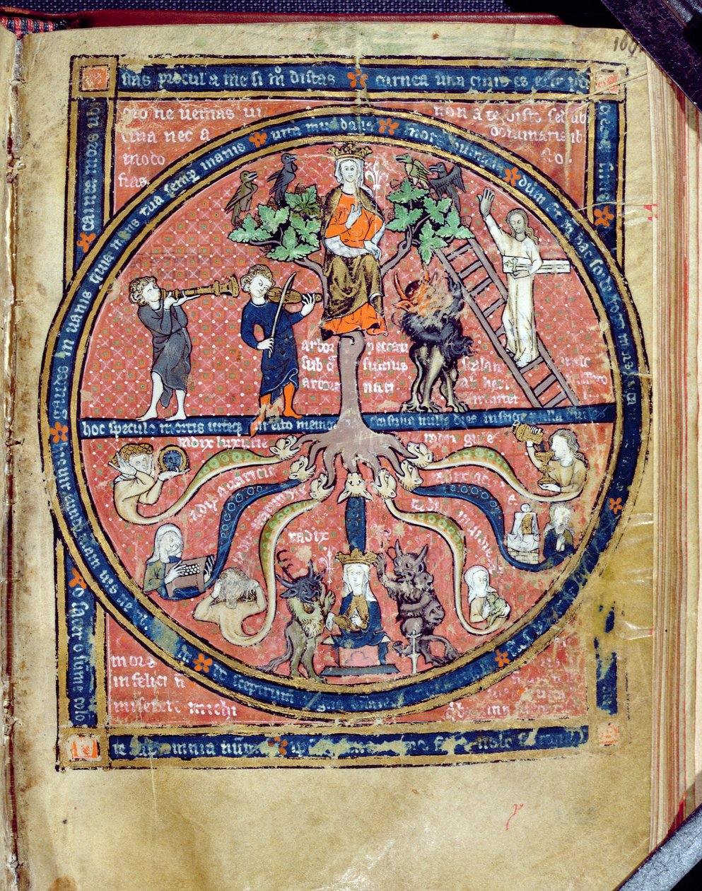 Ms 2200 Alegorik Ağaç, Guillaume de Conches tarafından De Philosophia Mundi