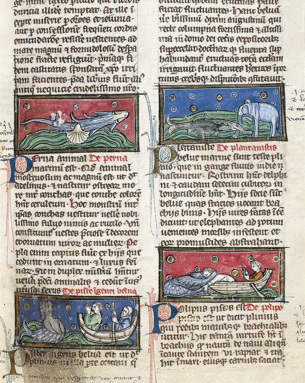 Ms 320 Fol.116 deniz canavarları, Thomas Van Cantimpré (1201-72) tarafından yazılan Şeylerin Doğası