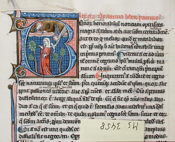 Ms 3458 Angel, Aristoteles