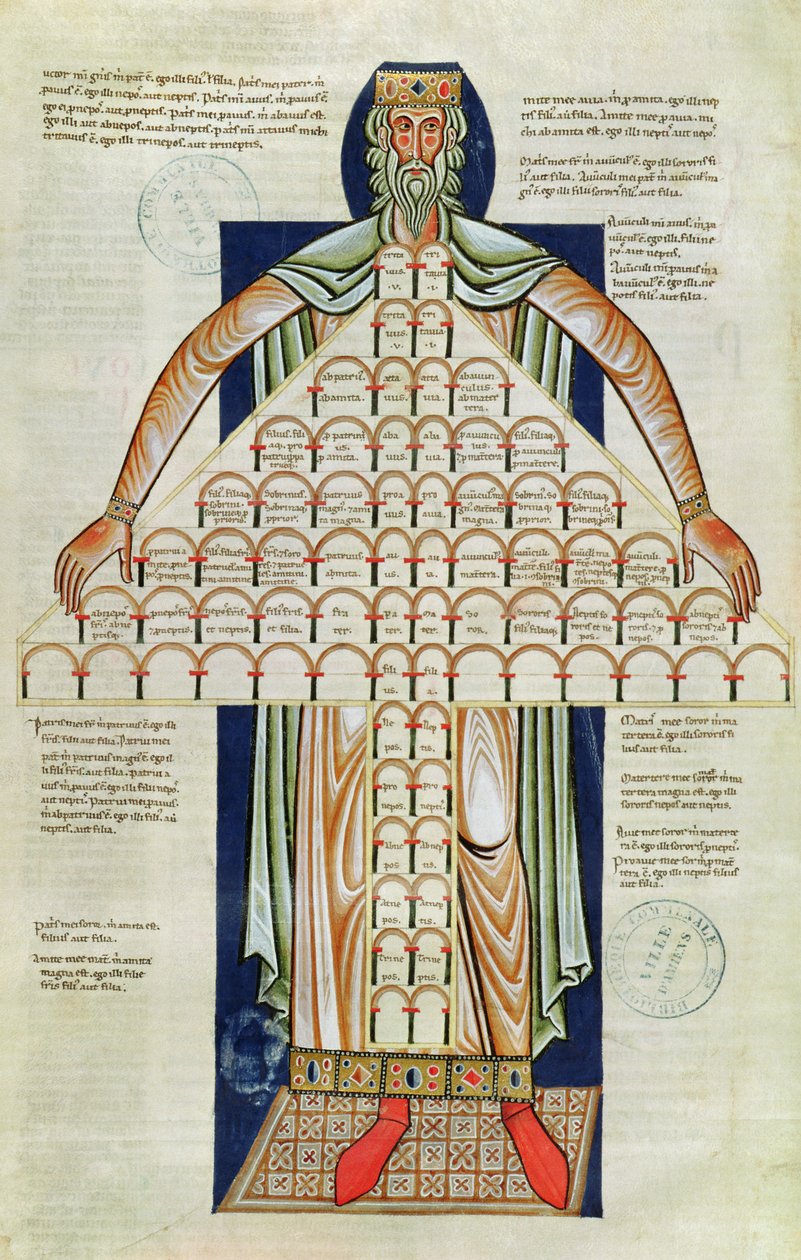 Ms 360 f.264v Akraba Ağacı, 