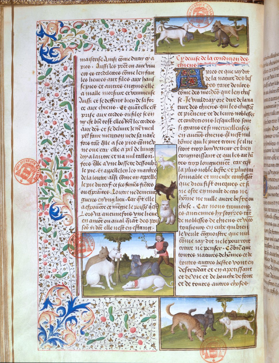 Ms 3717 Av köpekleri, Livre de la Chasse
