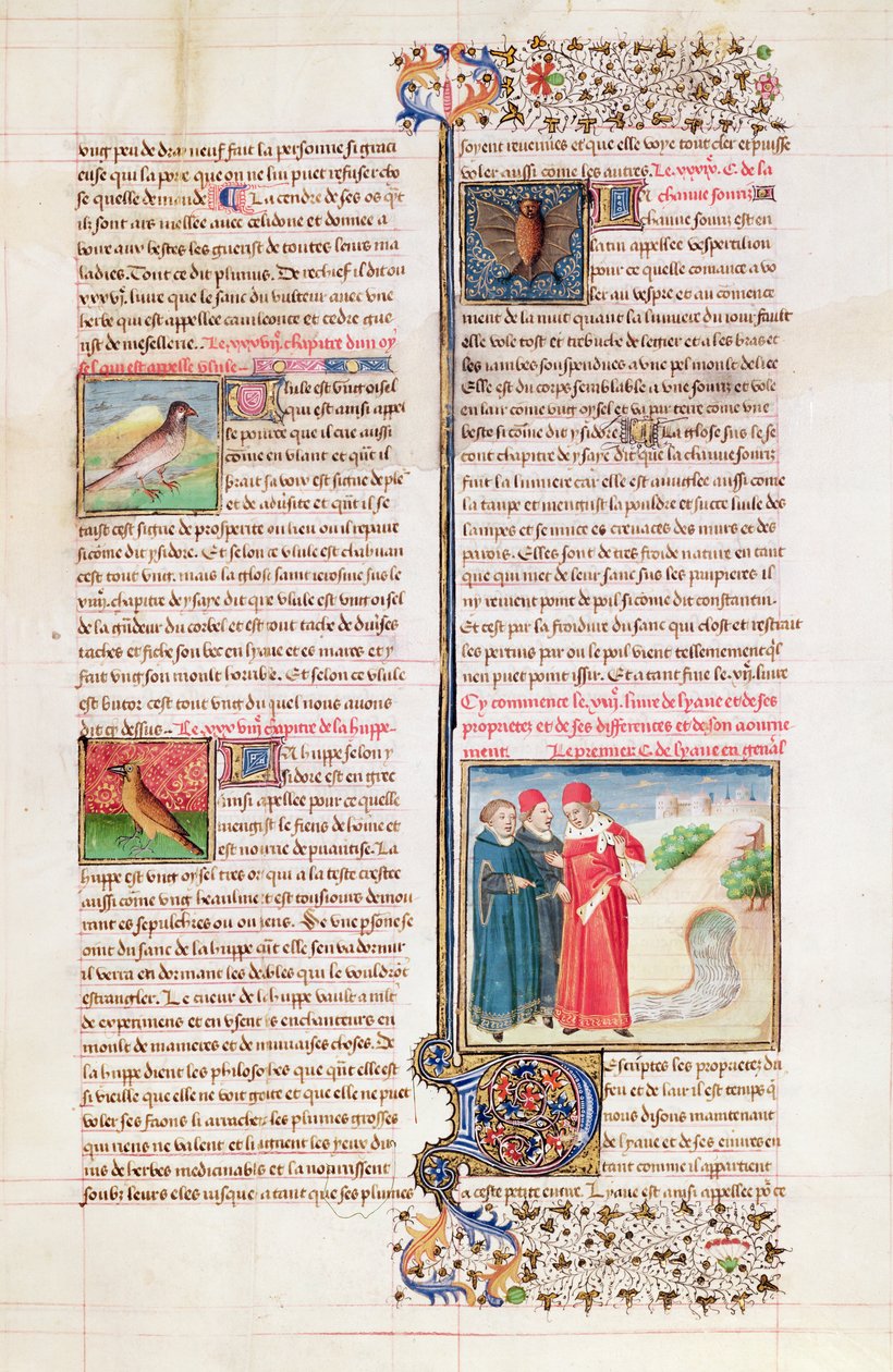 Ms 399 fol. 149 İngiliz Barthelemy