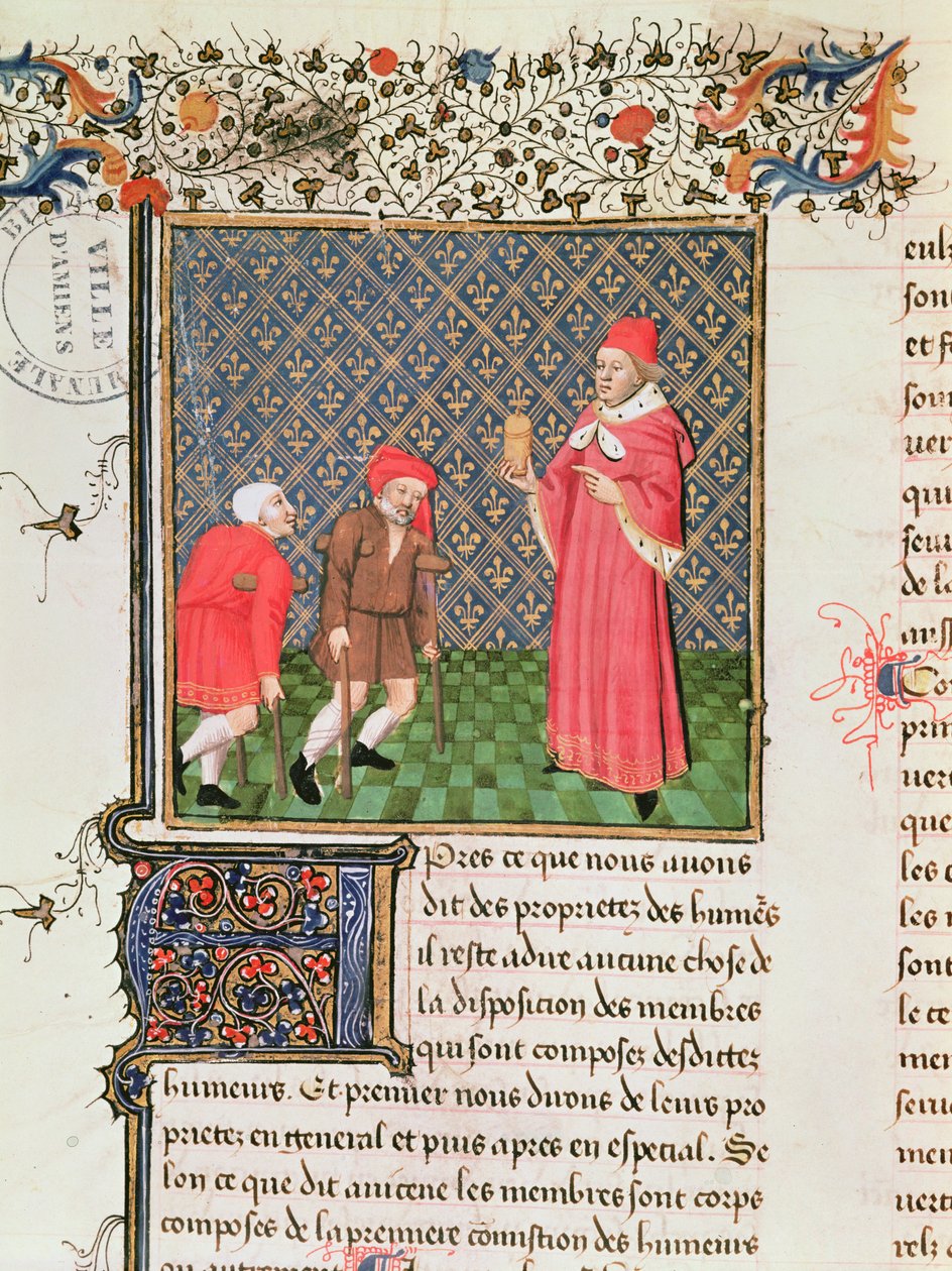 Ms 399 fol.35v Dilenciler, Livre des Proprietes des Choses, Barthelemy l Anglais tarafından by French School