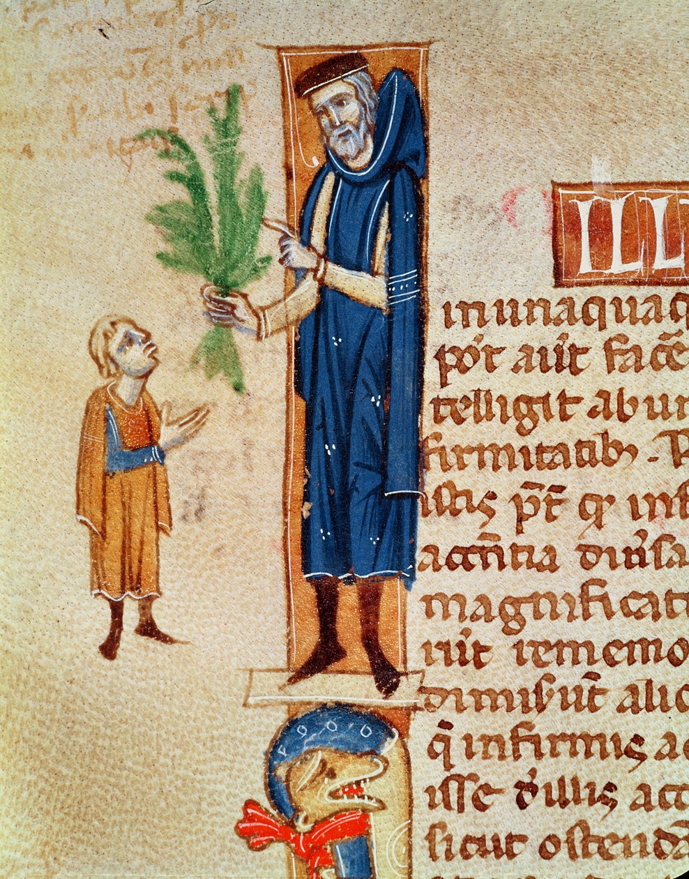 Ms 413 f.92v Şifalı Bitkiler, Claudius Galenus