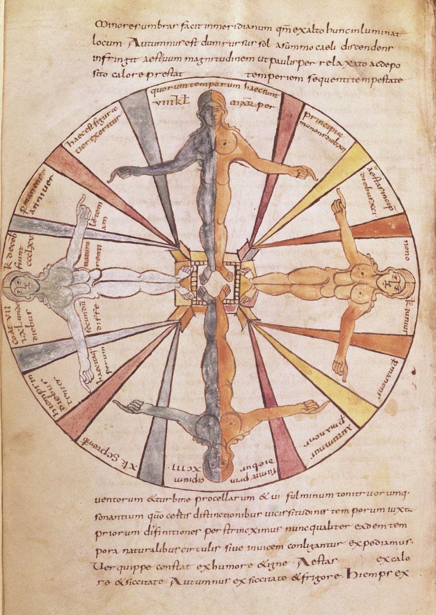 Ms 422 fol.6v Mevsimlerin ve ayların çarkı, De Natura Rerum