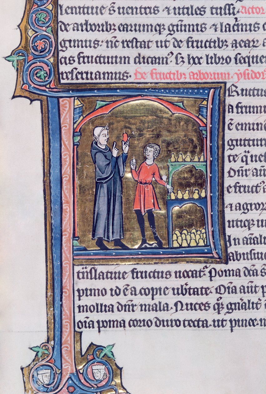 Ms 426 fol.135 Armutları korumanın en iyi yolunu öğretmek, Vincent de Beauvais tarafından yazılan Le Miroir de la Nature by French School