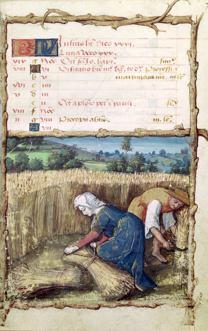 Ms 438 Temmuz Ayı: Bir Saatler Kitabından Buğday Hasat ve Hasat, 1490 by French School