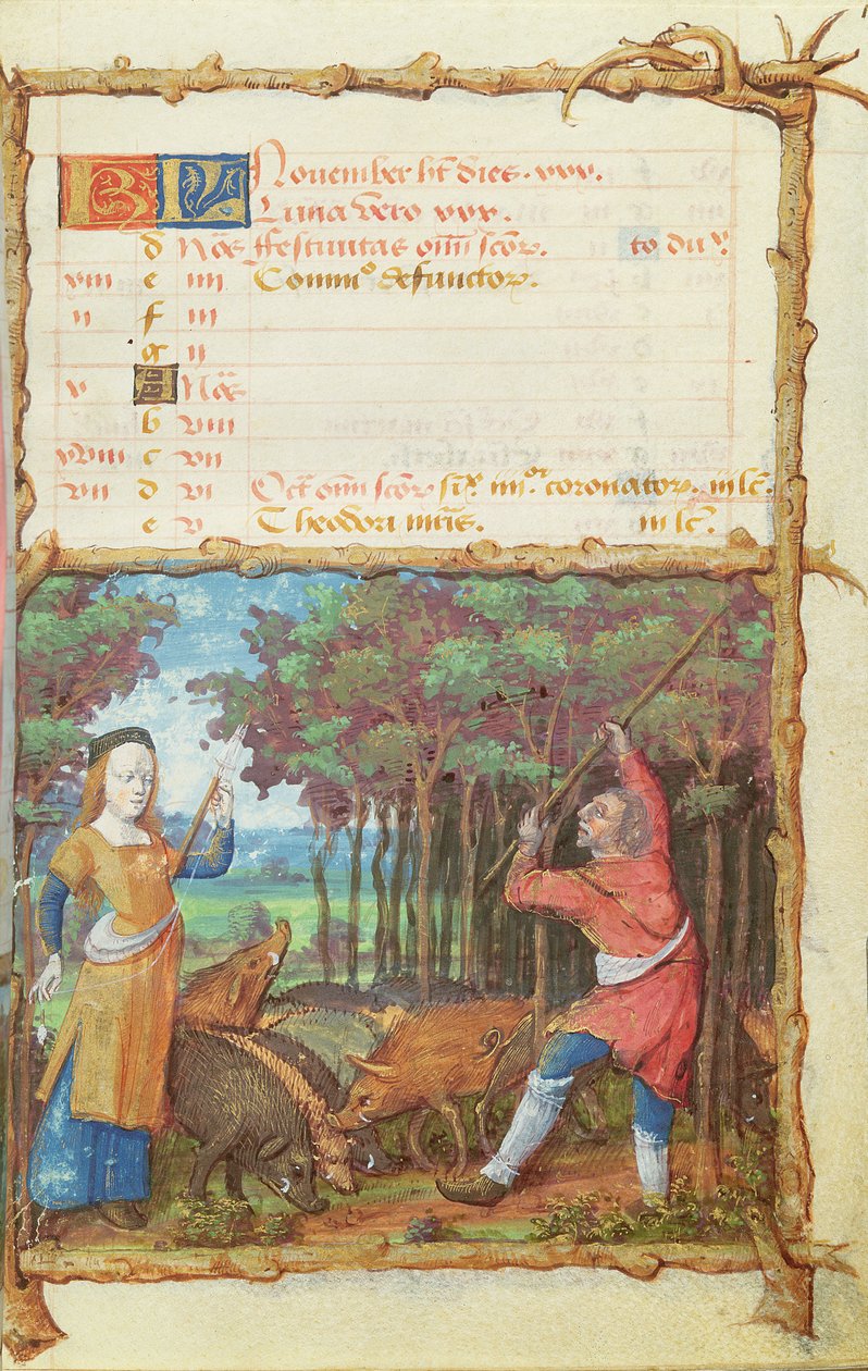Ms 438 Kasım Ayı: Bir Saatler Kitabından Meşe Palamudu Toplama, 1490 by French School