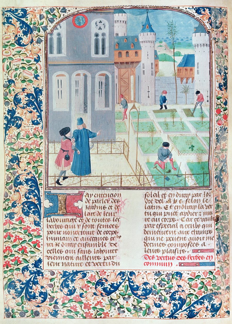 Ms 5064 f.151v Bahçe, Pietro de Crescenzi (1230-132021) tarafından Le Livre des Prouffitz Champestres