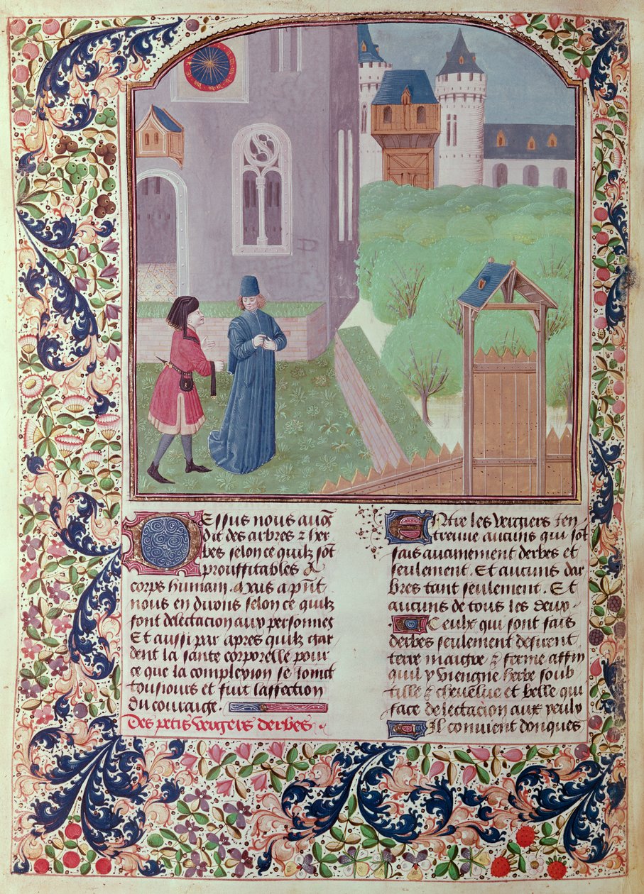 Ms 5064 f.202v Meyve Bahçesi, Pietro de Crescenzi