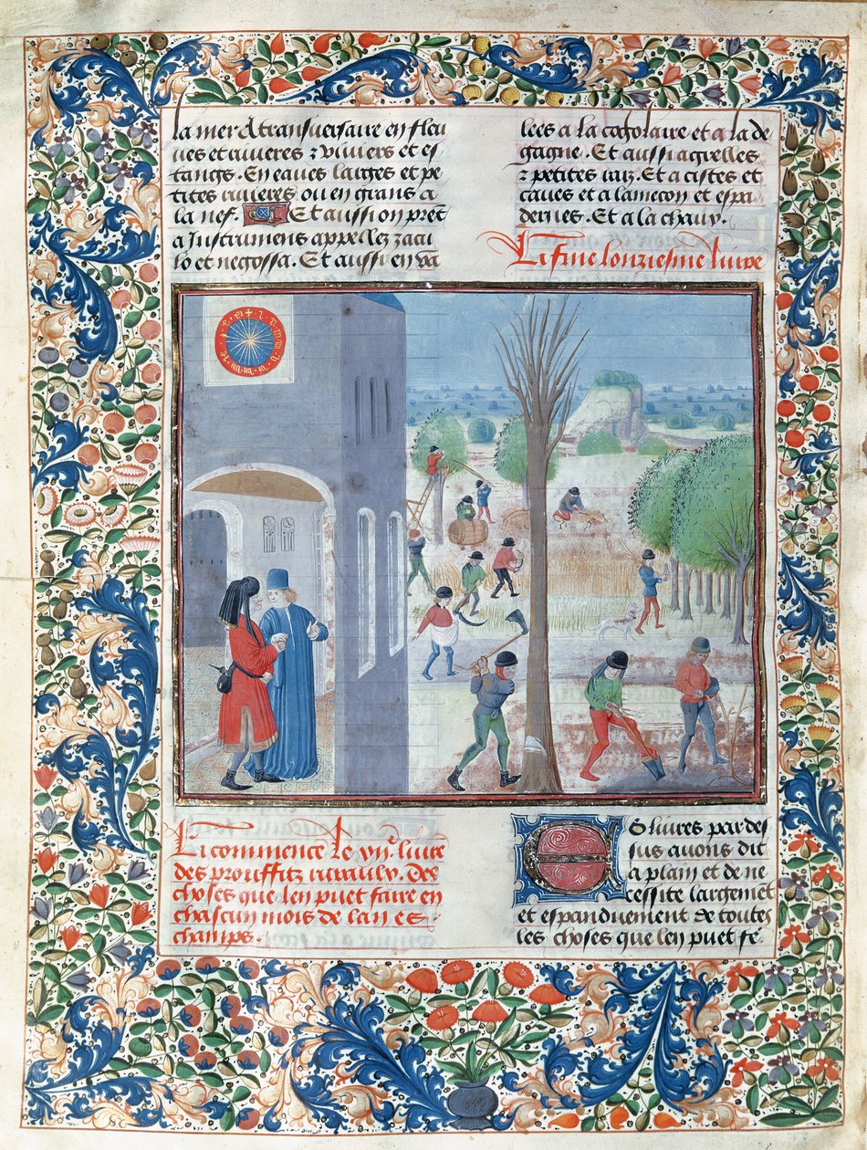 Ms 5064 f.299v Yılın her ayı için meslekler, Pietro de Crescenzi