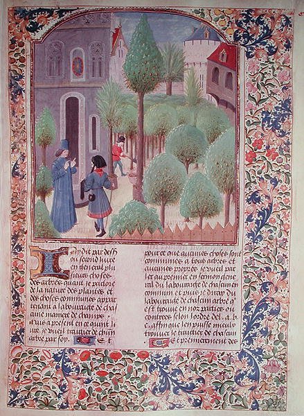 Ms 5064 fol.105r Pietro de Crescenzi (1230-132021) tarafından Livre des Prouffitz Champestres