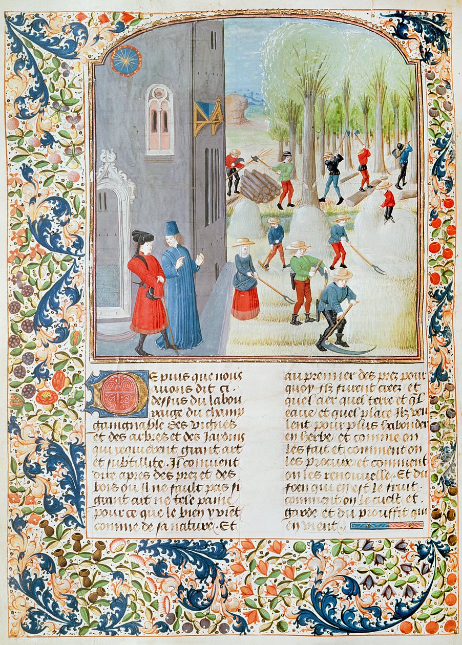 Ms 5064 fol.198v Ağaç Kesme ve Hasat, Livre des Prouffitz Champestres