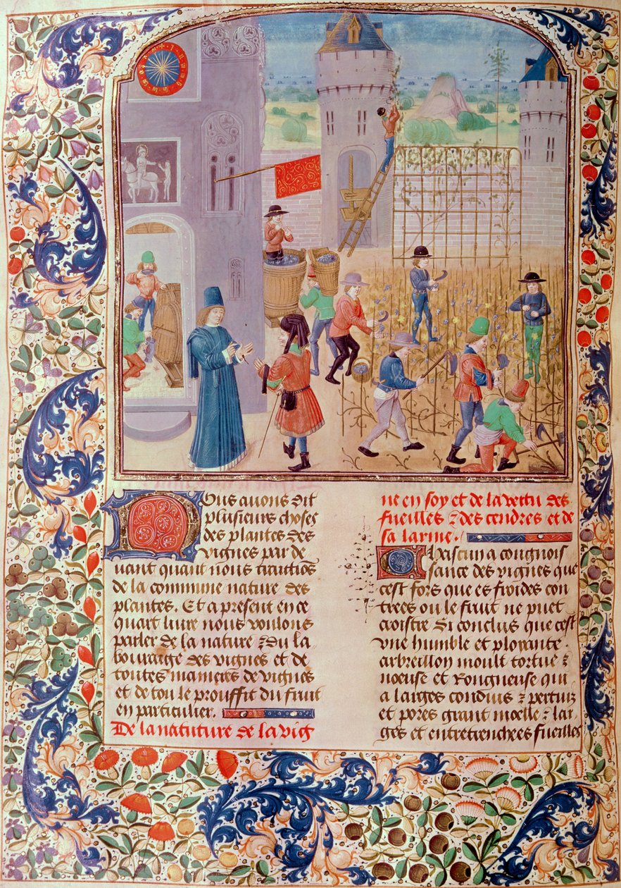 Ms 5064 fol.68v Livre des Prouffitz Champestres