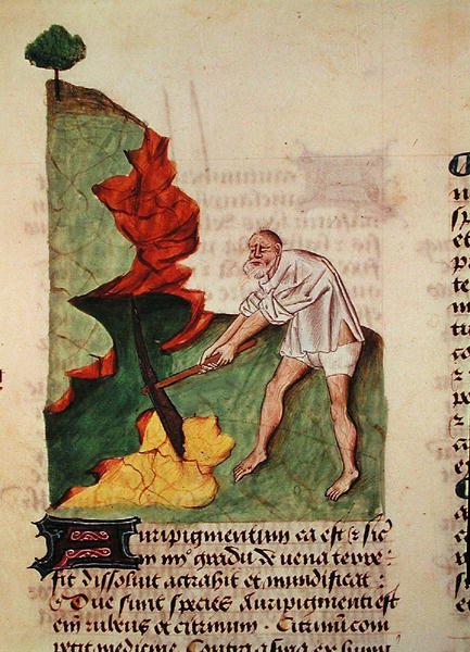 Ms 59 fol.3v Altın arıyorsunuz, Grand Herbier, Pedanius Dioscorides (c.40-90) by French School