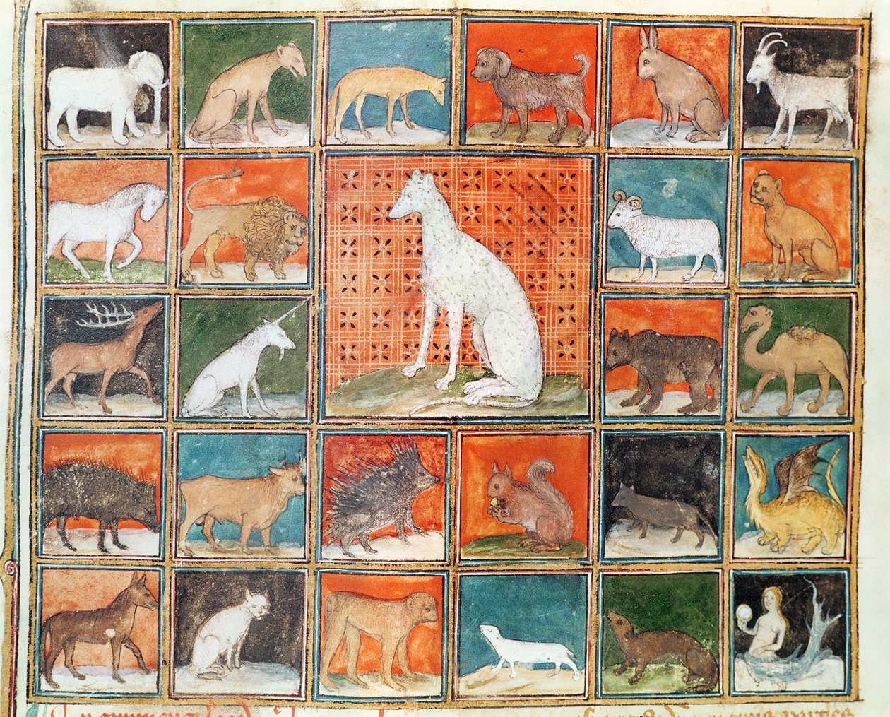 Ms 993 fol. 254v Canavarların Özellikleri: Memeliler, Le Livre des Proprietes des Choses, Jean Cordichon by French School