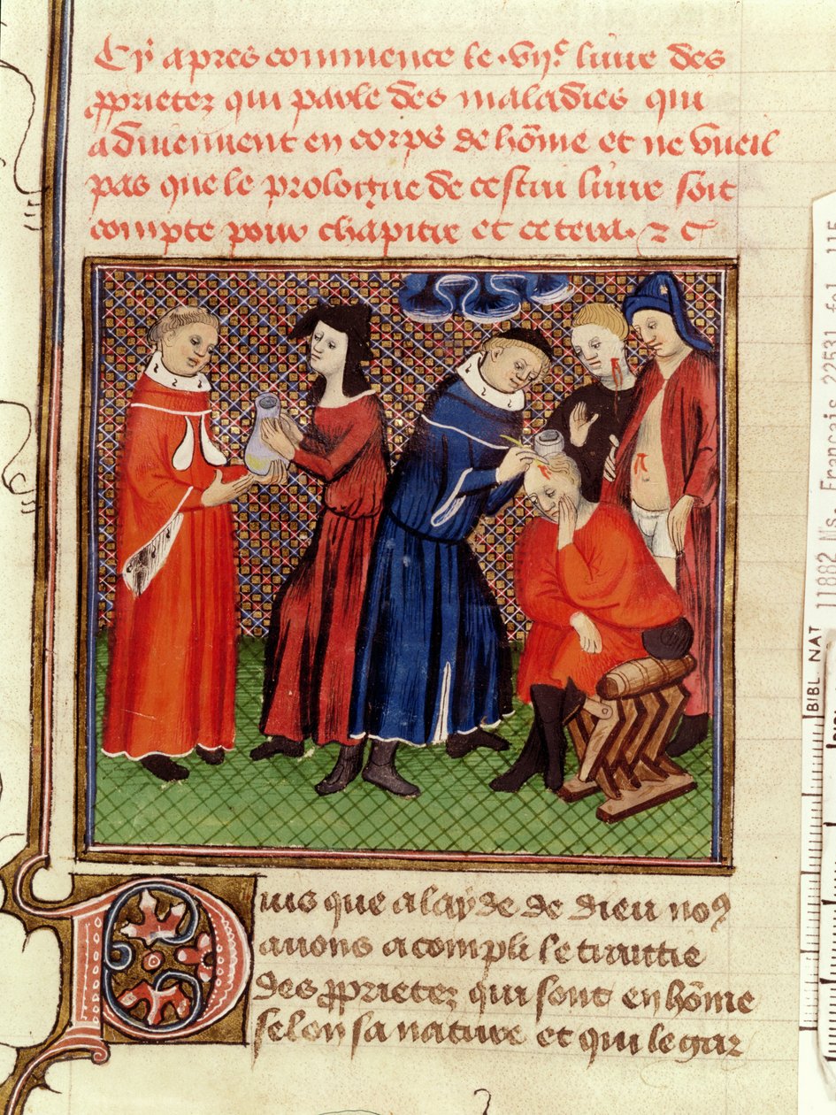 Ms Fr 22531 Fol.115 The İdrar Muayenesi ve Yaraların İyileşmesi, Le Livre des Proprietes des Choses, Barthelemy lAnglais, c.1410-15 by French School