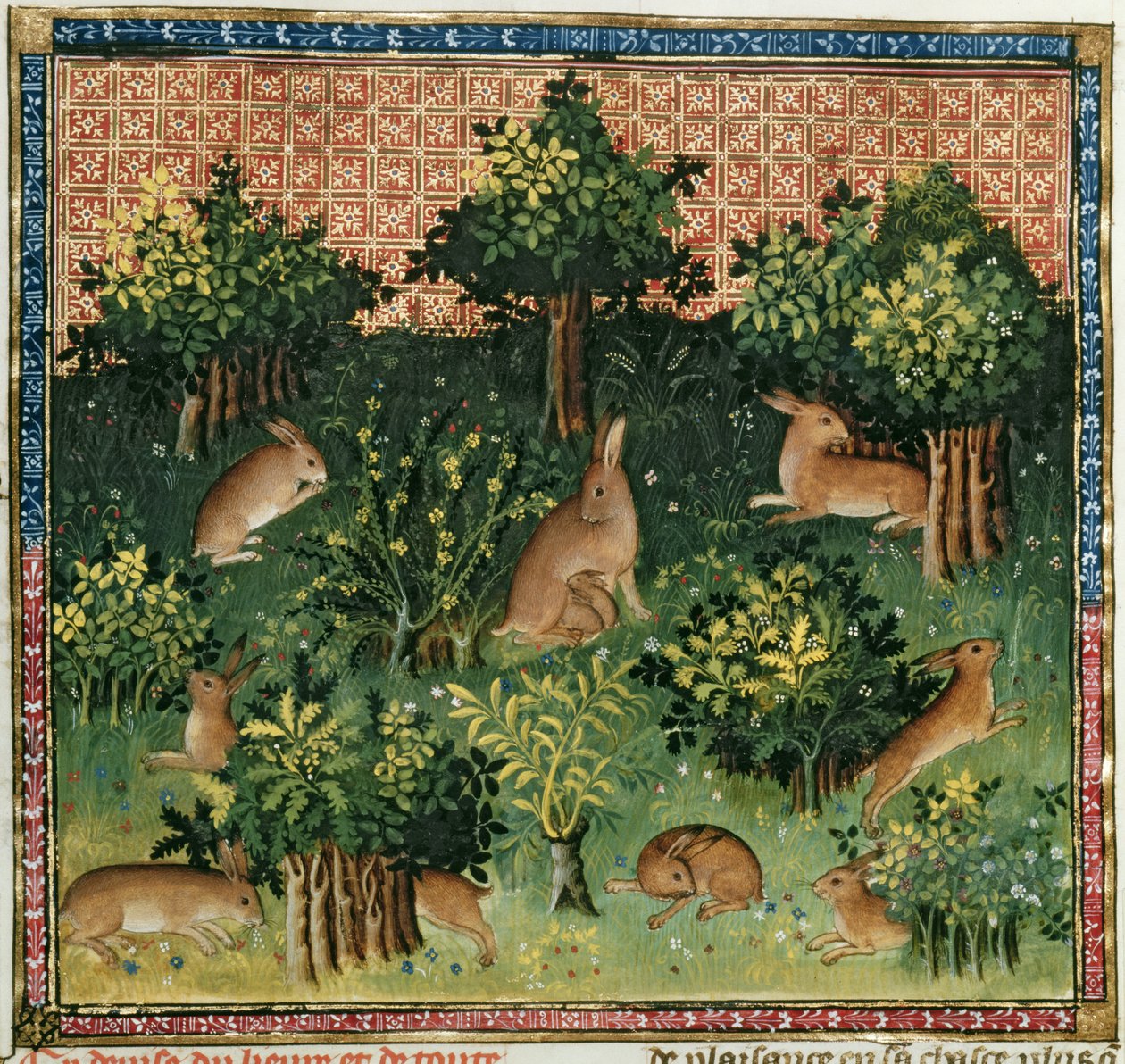 Bayan Fr 616 fol.24v Bir Ormanda Tavşanlar, Livre de la Chasse