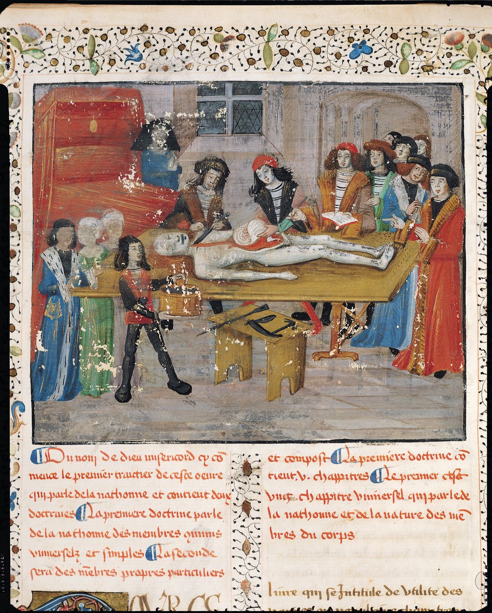 Ms H 184 fol.14v Dissection lesson at the Faculty of Medicine in Montpellier, from 