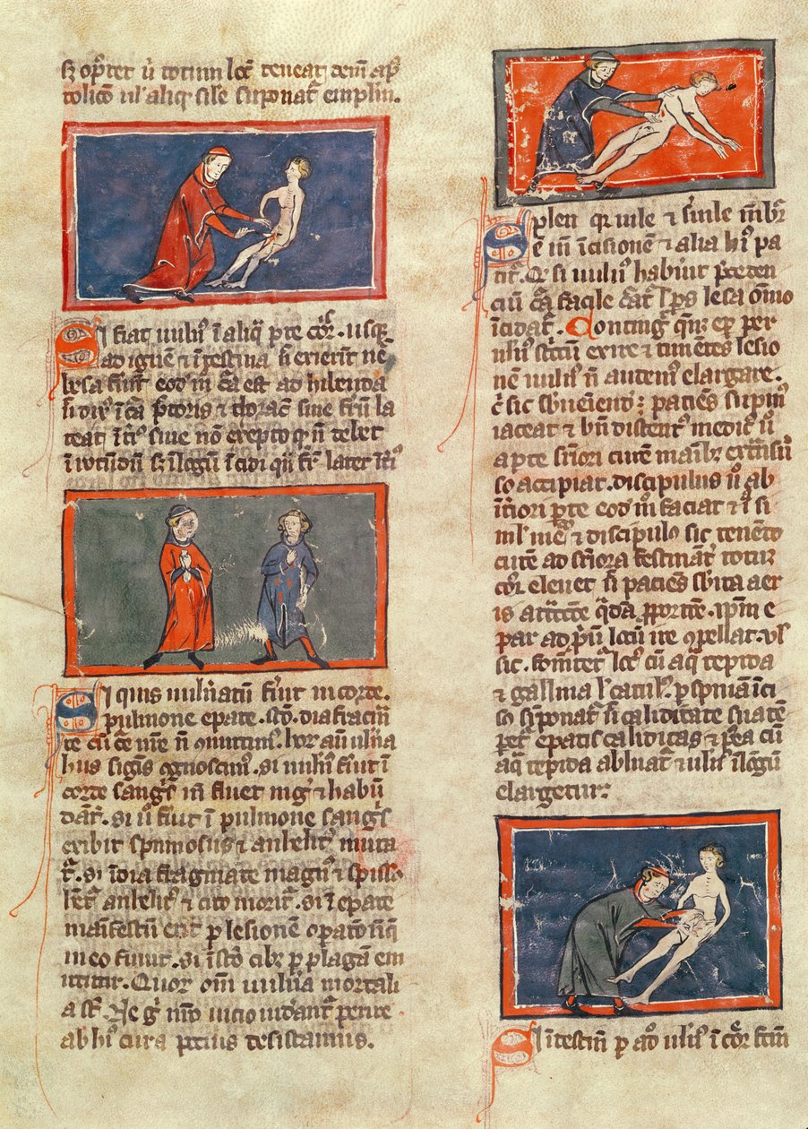 Ms H 89 fol.21v Anatomik figürler, Rogier de Salerne